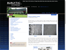 Tablet Screenshot of burlyticsystems.com